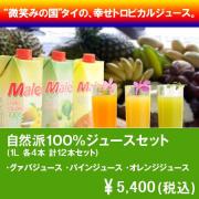 【商品種別A】100%フルーツジュースセット(マリー)