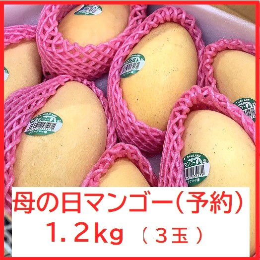 母の日マンゴー2025