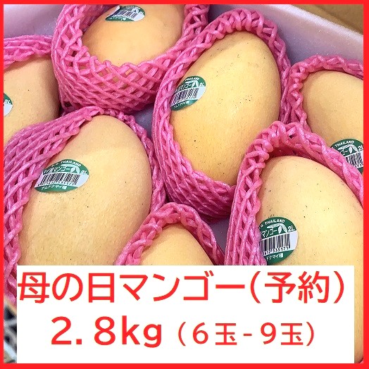 母の日マンゴー2025